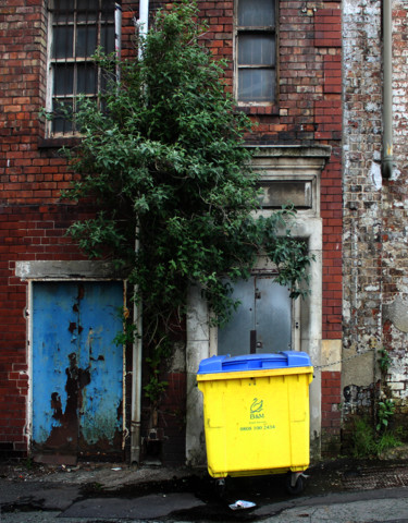 Photographie intitulée "Bright yellow waste…" par Kevin C Lee, Œuvre d'art originale