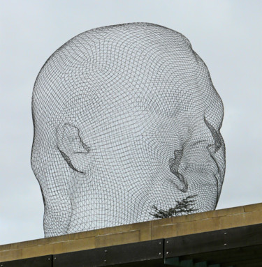 Sculpture intitulée "Angular view of Him…" par Kevin C Lee, Œuvre d'art originale, Métaux