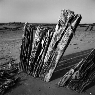Les Pieux Photographie intitulée "Les Pieux" par Daniel Sohier, Œuvre d'art originale, Photographie argentique Monté sur Aluminium
