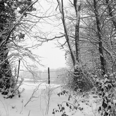 Hiver 4 Photography titled "Hiver 4" by Daniel Sohier, Original Art, Analog photography Mounted on Aluminium