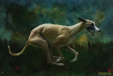 Digital Arts titled "Vel Macropus Canem" by Pia De Panicis, Original Artwork, Digital Painting