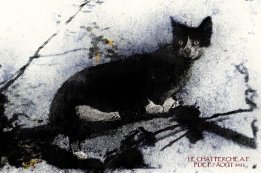 Arts numériques intitulée "Le chat perché A.F." par Pia De Panicis, Œuvre d'art originale, Peinture numérique