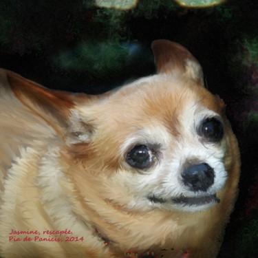 Drawing titled "Jasmine, chihuahua…" by Pia De Panicis, Original Artwork, Other