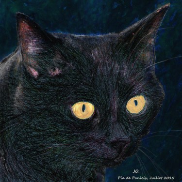 Zeichnungen mit dem Titel "JO, le chat noir" von Pia De Panicis, Original-Kunstwerk, Andere