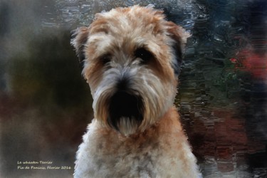 Digital Arts titled "Wheaten Terrier" by Pia De Panicis, Original Artwork, Digital Painting