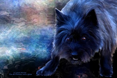 Digital Arts titled "Cairn Terrier" by Pia De Panicis, Original Artwork, Digital Painting