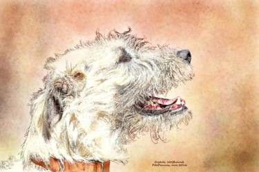 Digital Arts titled "Orphée, Wolfhound" by Pia De Panicis, Original Artwork, Digital Painting