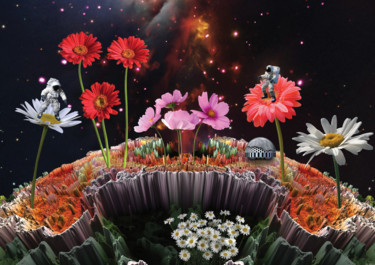 Digital Arts titled "Flower Planet" by Pia Valentin Sørensen, Original Artwork, Photo Montage