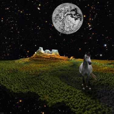 Grafika cyfrowa / sztuka generowana cyfrowo zatytułowany „Space Horse II” autorstwa Pia Valentin Sørensen, Oryginalna praca,…