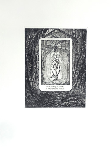Impressões e gravuras intitulada "Lobo no te temo / W…" por Pia Nicotra, Obras de arte originais, Água forte