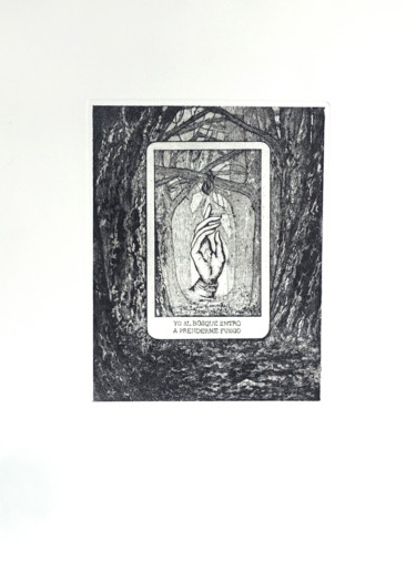 Gravures & estampes intitulée "Lobo no te temo / W…" par Pia Nicotra, Œuvre d'art originale, Eau-forte