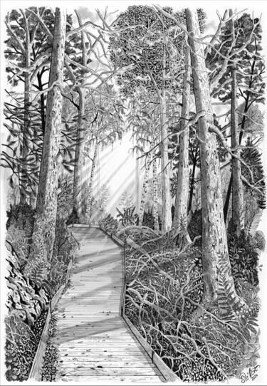 Drawing titled "Passerelle sous bois" by Pic Art, Original Artwork, Ink