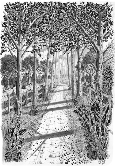 Tekening getiteld "Allée forestière" door Pic Art, Origineel Kunstwerk, Inkt