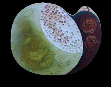 Peinture intitulée "Lichens" par Sabine Picard, Œuvre d'art originale, Huile