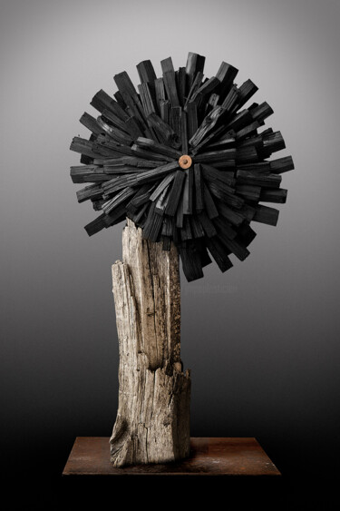 Skulptur mit dem Titel ""Soleil Noir"" von Picrate, Original-Kunstwerk, Holz