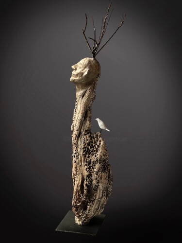 Sculptuur getiteld "L’Ami des Oiseaux" door Picrate, Origineel Kunstwerk, Hout