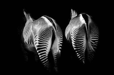Digitale Kunst mit dem Titel "Zebra" von Pics'L Art Galerie, Original-Kunstwerk