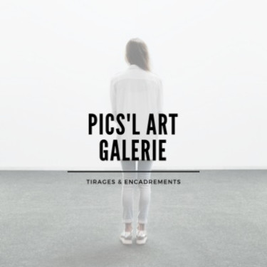 Pics'L Art Galerie Image de profil Grand