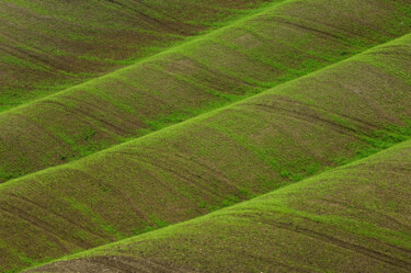Fotografie mit dem Titel "Tuscany's landscape" von Pier Maulini, Original-Kunstwerk, Digitale Fotografie