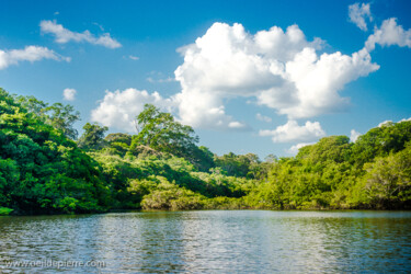 Photographie intitulée "Rio negro Amazonia" par Pierre Assemat (oeildepierre), Œuvre d'art originale, Photographie numérique