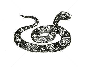 Gravures & estampes intitulée "Serpent asiatique" par Pierre Bara, Œuvre d'art originale, Linogravures