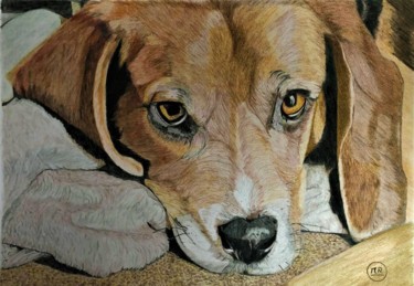 Drawing titled "Beagle au repos" by Pierre Bayet, Original Artwork, Pencil