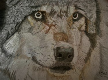 Rysunek zatytułowany „Regard de loup” autorstwa Pierre Bayet, Oryginalna praca, Ołówek