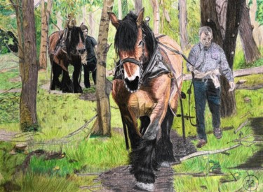 Tekening getiteld "Débardage au cheval" door Pierre Bayet, Origineel Kunstwerk, Potlood