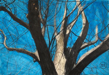 Dessin intitulée "Le chêne, roi de la…" par Pierre Bayet, Œuvre d'art originale, Crayon