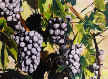Dibujo titulada "Grappes de raisins" por Pierre Bayet, Obra de arte original, Lápiz