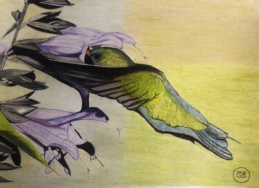 Desenho intitulada "Petit oiseau" por Pierre Bayet, Obras de arte originais, Lápis