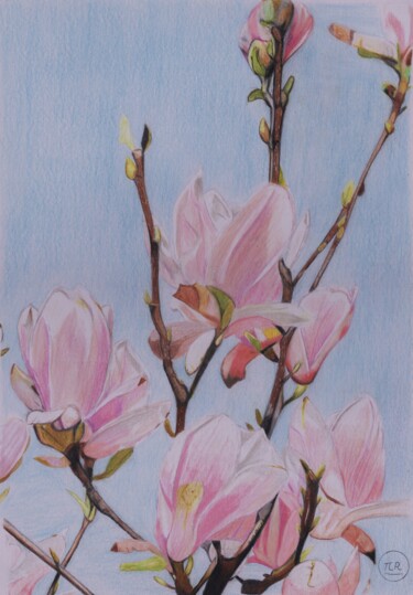 Рисунок под названием "Magnolia ... le pri…" - Pierre Bayet, Подлинное произведение искусства, Карандаш