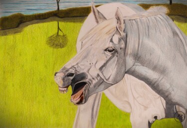 Drawing titled "Rire chevalin." by Pierre Bayet, Original Artwork, Pencil