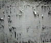Peinture intitulée "fonte des glaces" par Pierre Carbonel, Œuvre d'art originale