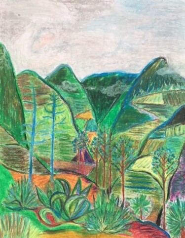 Dibujo titulada "Les Yungas - Bolivie" por Pierre Carret, Obra de arte original, Pastel