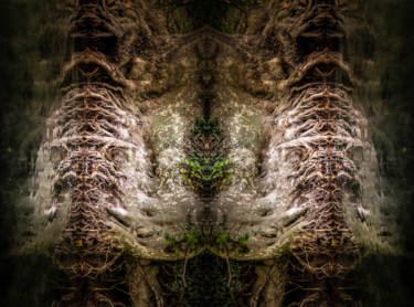 Photography titled "The monsters" by Pierre Duquoc, Original Artwork, Digital Photography