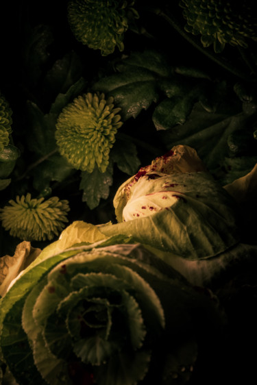 Photographie intitulée "Le sang des fleurs…" par Pierre Duquoc, Œuvre d'art originale, Photographie numérique