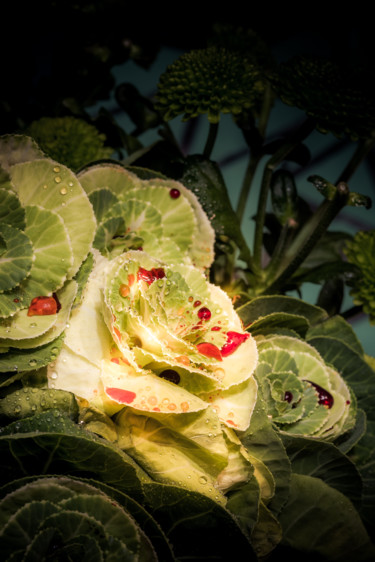 Photography titled "Le sang des fleurs…" by Pierre Duquoc, Original Artwork, Digital Photography