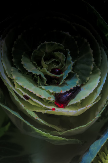 Photographie intitulée "Le sang des fleurs…" par Pierre Duquoc, Œuvre d'art originale, Photographie numérique
