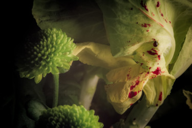 Le sang des fleurs #12 Photographie intitulée "Le sang des fleurs…" par Pierre Duquoc, Œuvre d'art originale, Photographie numérique
