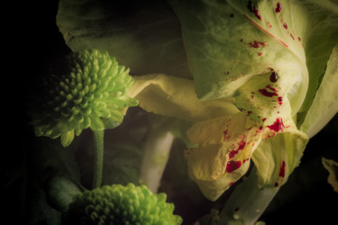 Fotografia intitolato "Le sang des fleurs…" da Pierre Duquoc, Opera d'arte originale, Fotografia digitale