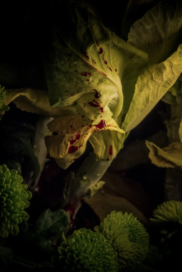 Photographie intitulée "Le sang des fleurs…" par Pierre Duquoc, Œuvre d'art originale, Photographie numérique