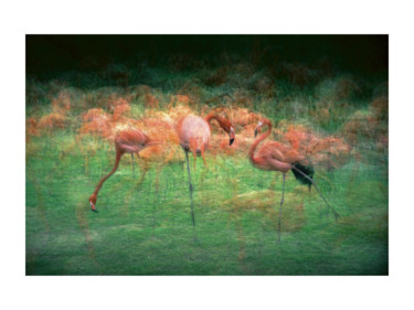 Ghost #8 2/20 Photographie intitulée "Ghost #8 2/20" par Pierre Duquoc, Œuvre d'art originale, Photographie manipulée