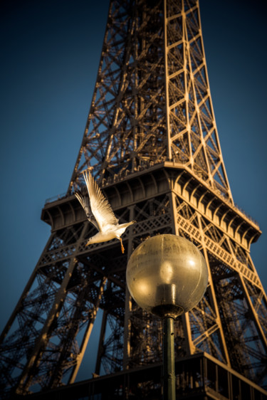 Photographie intitulée "Eiffel et la mouette" par Pierre Duquoc, Œuvre d'art originale, Photographie numérique
