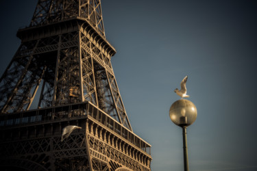 Photography titled "Eiffel Mouette" by Pierre Duquoc, Original Artwork, Digital Photography