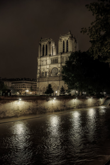 Fotografia intitolato "Notre Dame" da Pierre Duquoc, Opera d'arte originale, Fotografia digitale