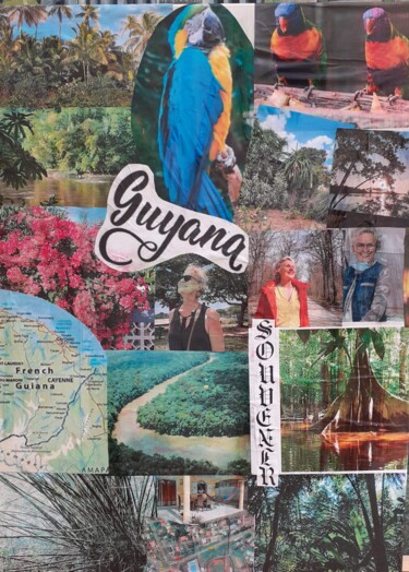 Collages getiteld "la Guyane" door Pierre Isaac Gozlan, Origineel Kunstwerk, Collages Gemonteerd op Frame voor houten branca…
