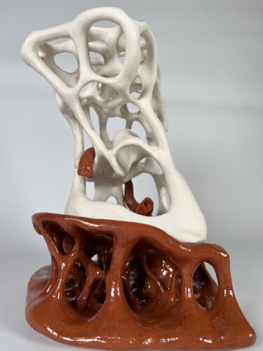 Rzeźba zatytułowany „Porcelana i Terakota” autorstwa Pierre Koodini, Oryginalna praca, Ceramika