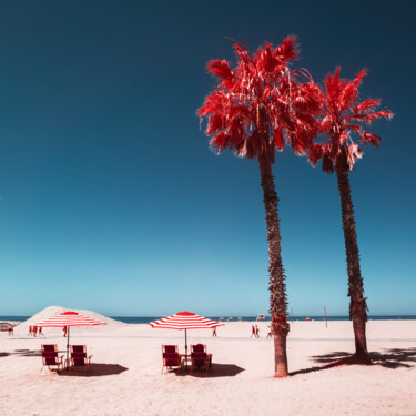 Photographie intitulée "Red Palms" par Pierre-Louis Ferrer, Œuvre d'art originale, Photographie numérique