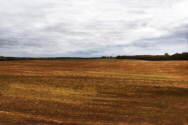 Photographie intitulée "LABOURS 1" par Pierre-Marie Fenech, Œuvre d'art originale, Photographie manipulée